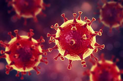 Коронавірус: що він робить з організмом і як захиститись