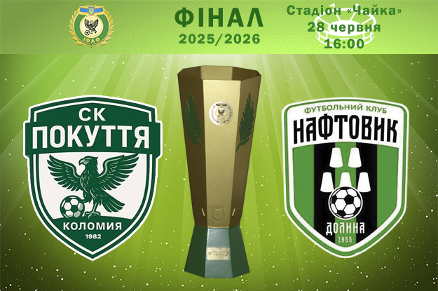 Фінал Кубка області